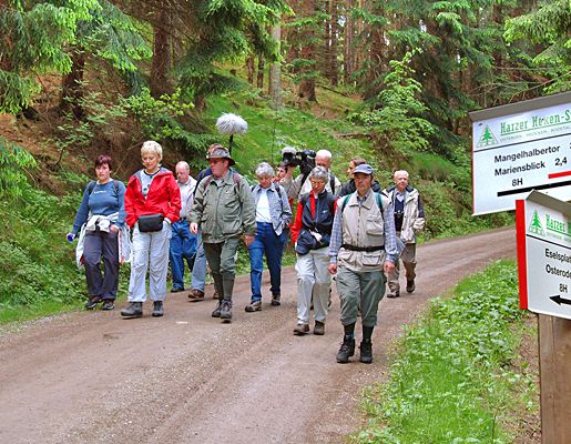 Ausflugsziele im Harz