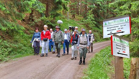 Holiday package in the Harz region