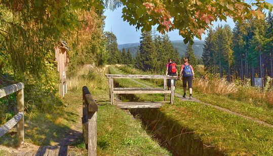 Ausflugsziele im Harz