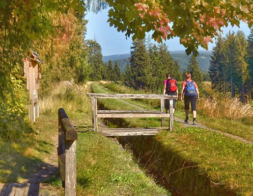 Ausflugsziele im Harz
