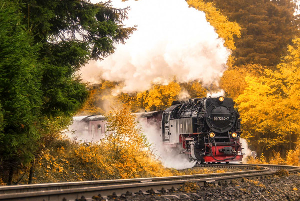 Gruppenreise mit der Schmalspurbahn